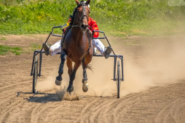 The Business of Horse Racing Betting: A Strategic Edge